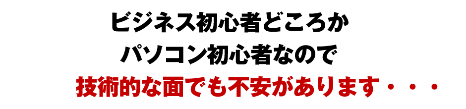 ビジネス初心者どころかパソコン初心者なので技術的な面でも不安があります・・・